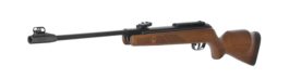 Gamo Hunter 440