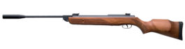 Gamo Hunter 1250